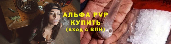 PSILOCYBIN Осинники
