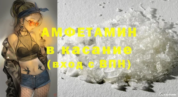 шишки Алзамай