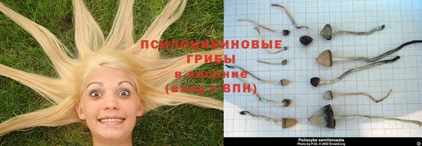каннабис Алексеевка