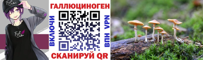 Галлюциногенные грибы мухоморы  OMG ссылка  Злынка 