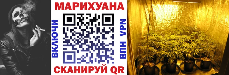 Бошки марихуана Bruce Banner  что такое наркотик  hydra зеркало  Злынка 